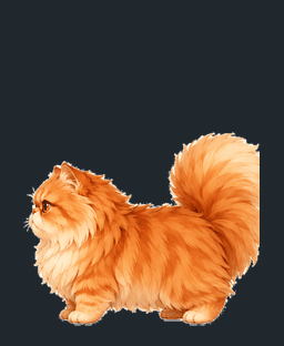 长毛猫后空翻动画